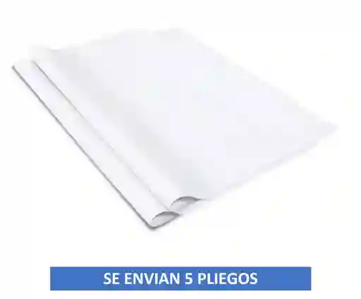 Papel Bond Pliego X 5 Unidades Blanco