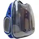 Morral Para Transporte De Mascotas En Forma De Gato Azul