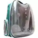 Morral Para Transporte De Mascotas En Forma De Gato Verde