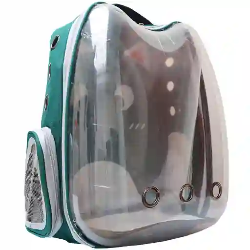 Morral Para Transporte De Mascotas En Forma De Gato Verde