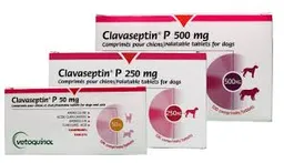 Clavaseptin 500 Mg X10 Tabletas