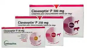 Clavaseptin 500 Mg X10 Tabletas