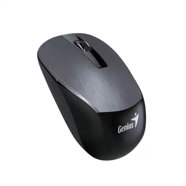 Genius Mouse Nx 7015 Inalámbrico Usb Hierro