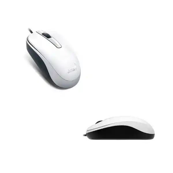 Genius Mouse Alámbrico Dx 120 Usb Blanco