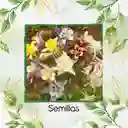 3.200 Semillas Orgánicas De Flor Aquilegia Aguileda