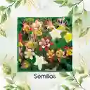 3.200 Semillas Orgánicas De Flor Aquilegia Aguileda