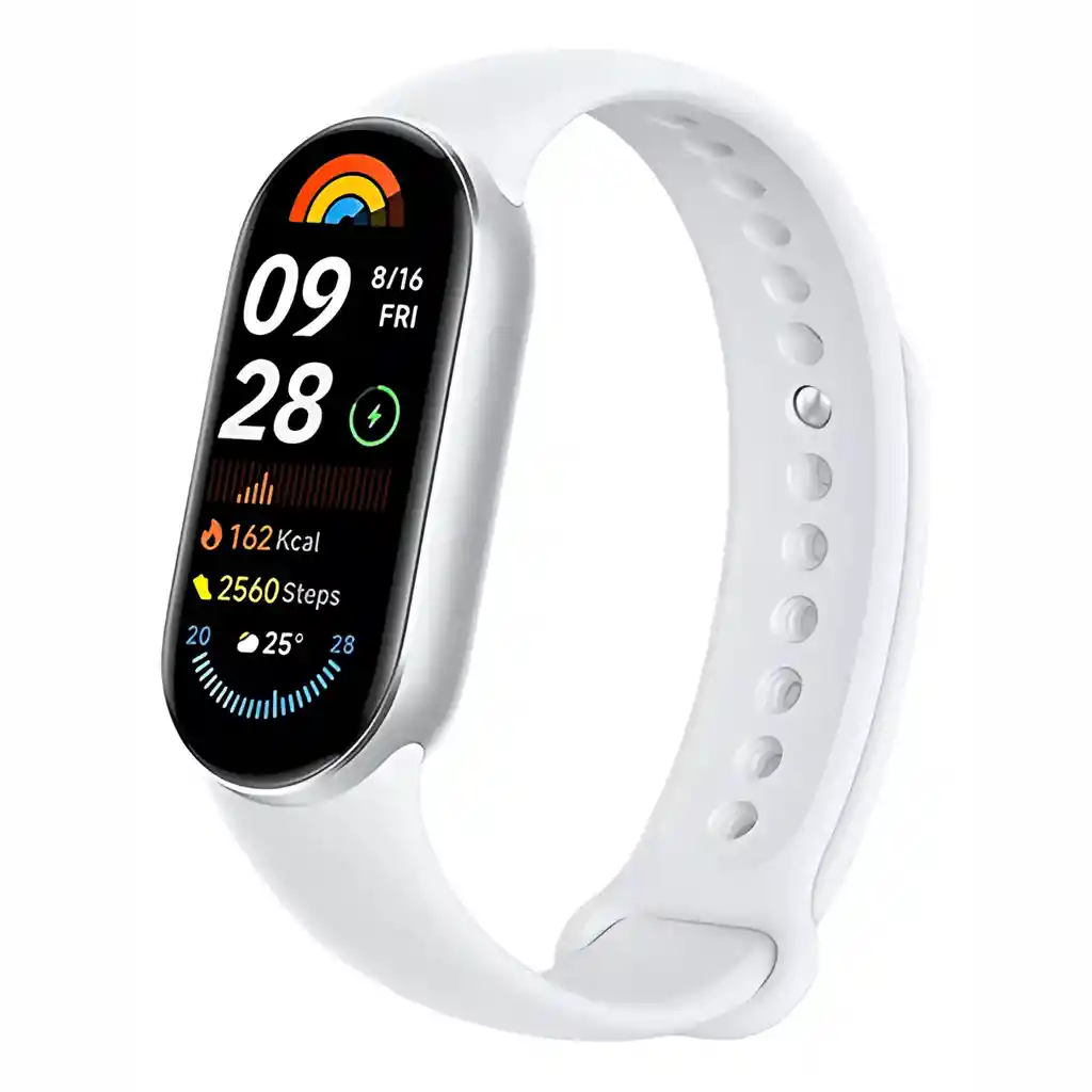 Pulsera Inteligente Xiaomi Mi Band 9 Glacier Silver