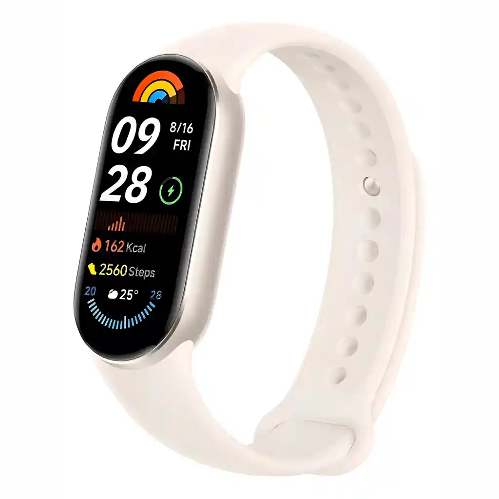 Pulsera Inteligente Xiaomi Mi Band 9 Titan Gray