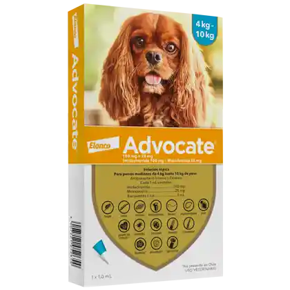 Advocate Perros 4 A 10 Kg Caja X 1 Pipeta