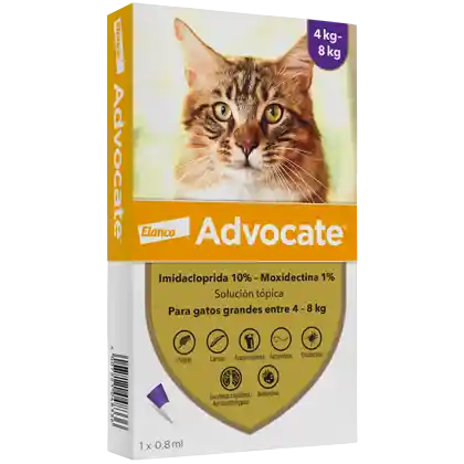 Advocate Gatos 4 A 8 Kg Caja X 1 Pipeta