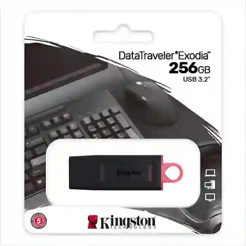 Memoria Usb 256gb Kingston
