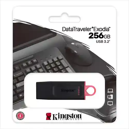 Memoria Usb 256gb Kingston