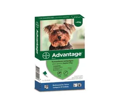 Advantage Perro Hasta 4 Kg Caja X 1 Pipeta