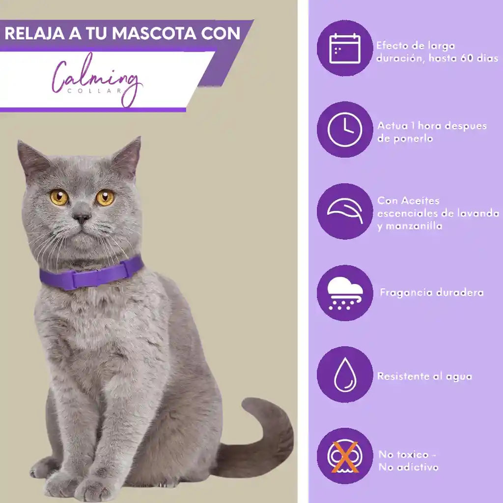 Calming Collar Gato - Violeta