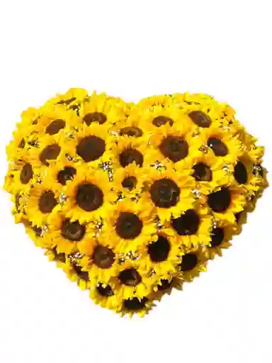 Amor De Girasol