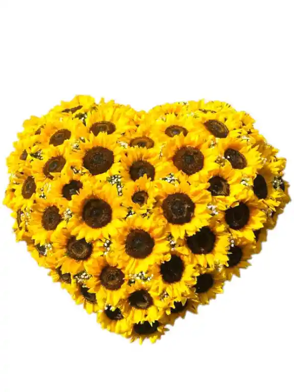 Amor De Girasol