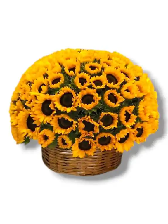 Florecer De Amor En Girasol