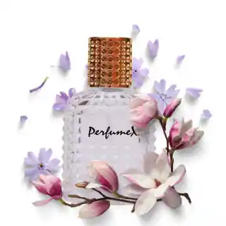 Insp. En Omnia Amethyste Bvlgari Para Mujer