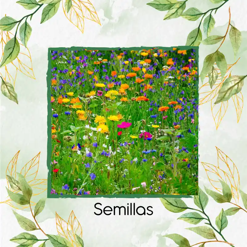 720 Semillas Orgánicas De Flores Silvestres