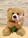 Peluche Oso Con Flor