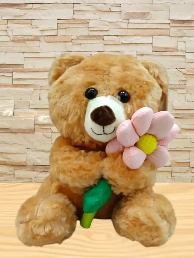 Peluche Oso Con Flor