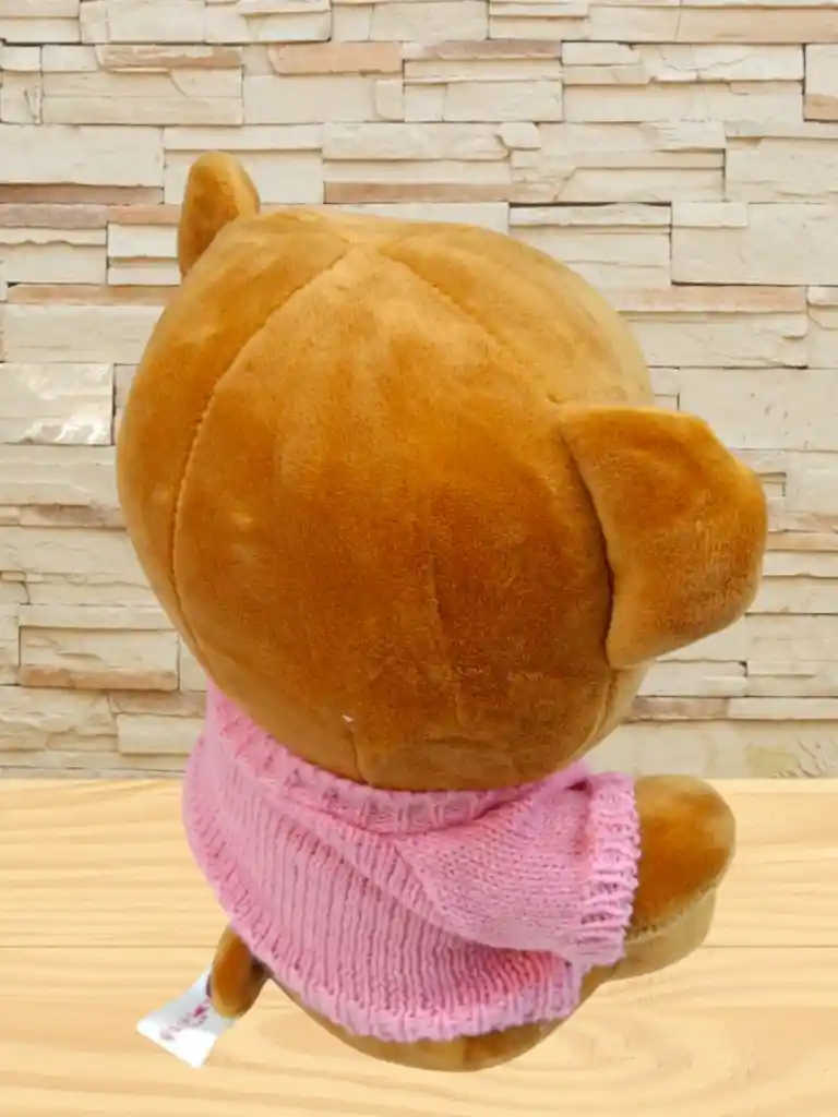 Peluche Oso Con Buso De Color Rosa