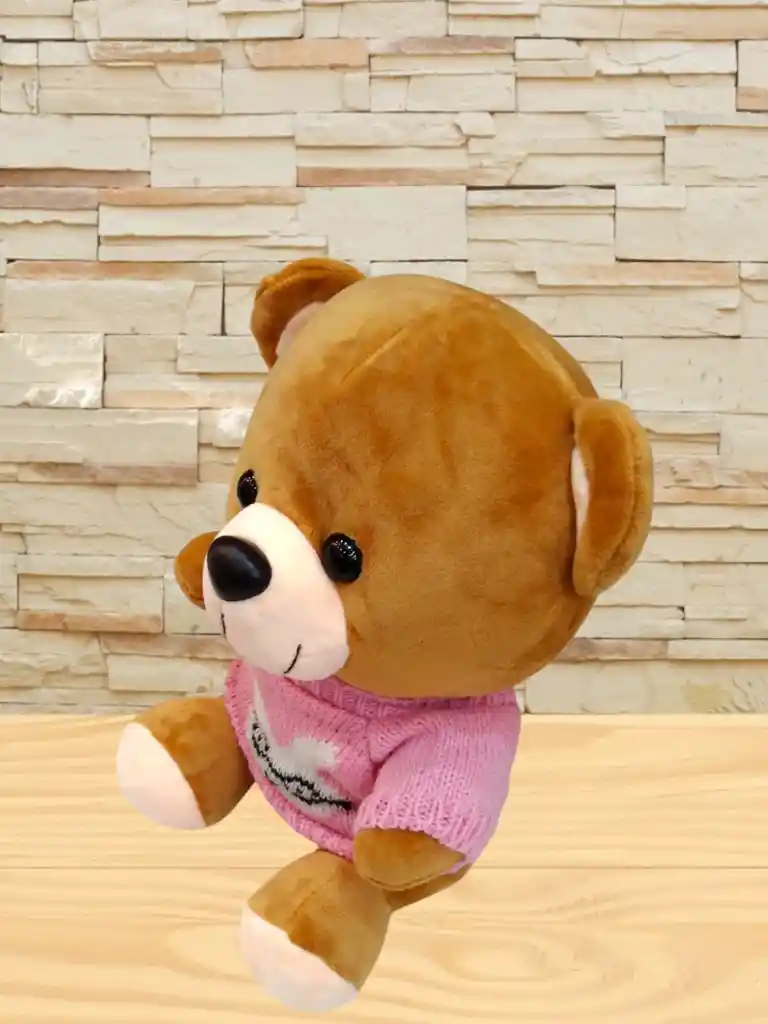 Peluche Oso Con Buso De Color Rosa