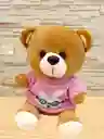 Peluche Oso Con Buso De Color Rosa