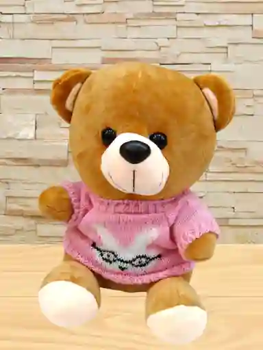 Peluche Oso Con Buso De Color Rosa