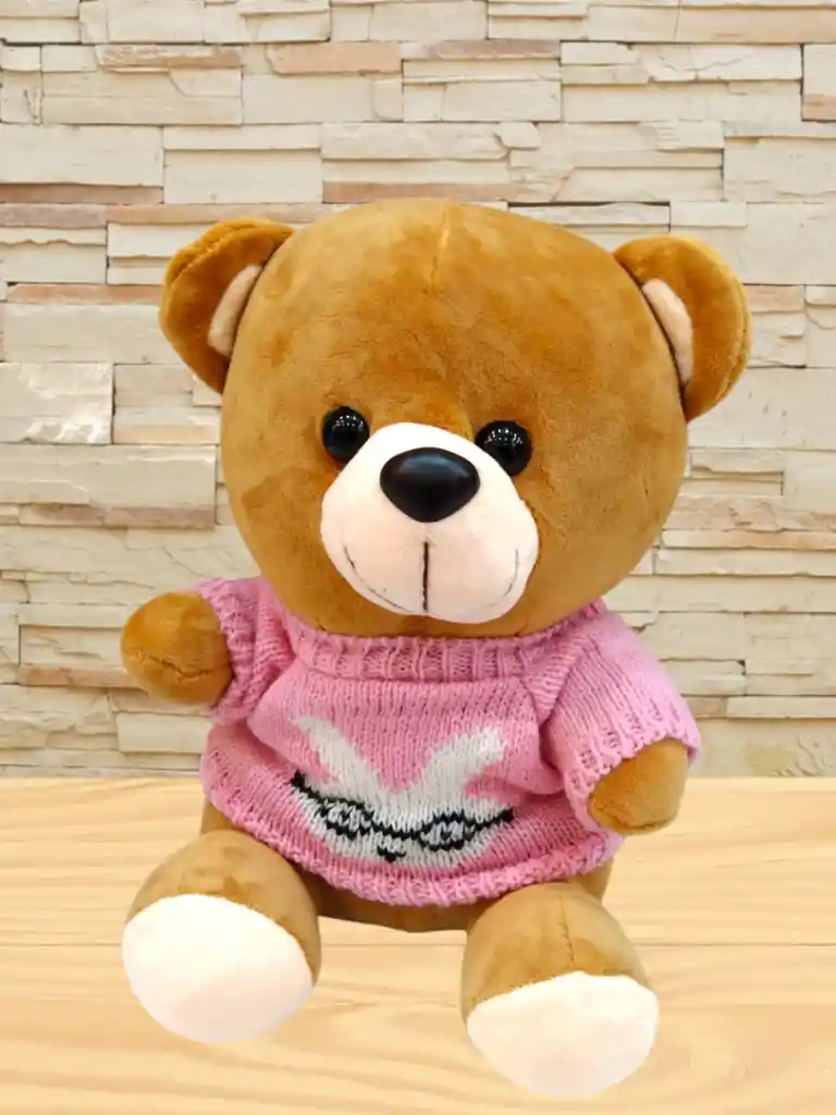 Peluche Oso Con Buso De Color Rosa