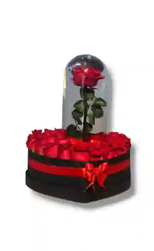 Caja Corazón 24 Rosas Con Rosa Preservada