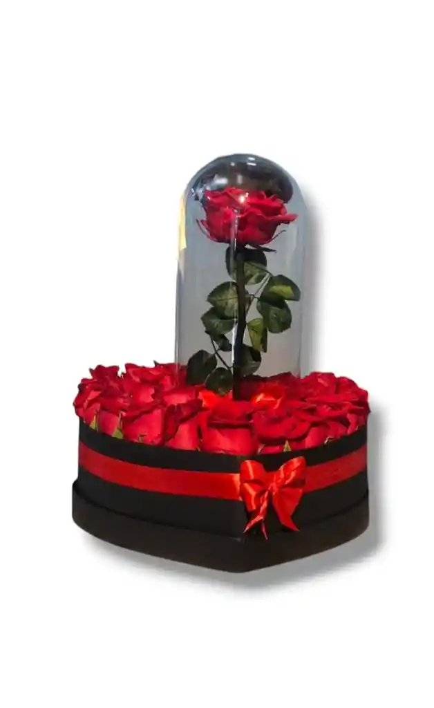 Caja Corazón 24 Rosas Con Rosa Preservada