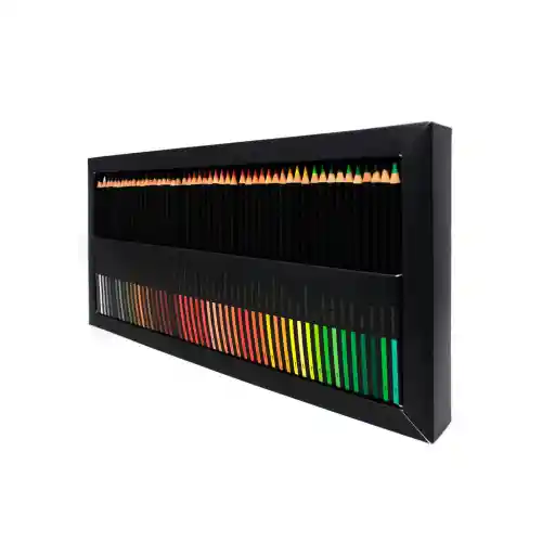 Colores Norma Premium X100