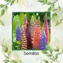 18 Semillas Orgánicas De Flor Lupinus Altramuz