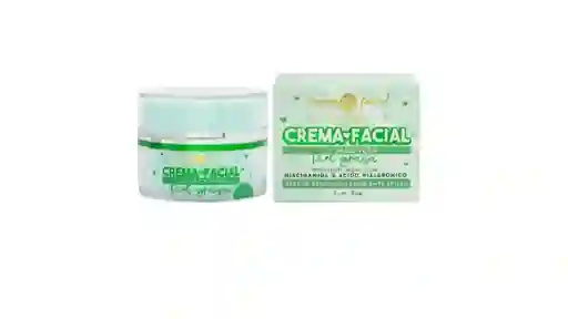 Crema Facial Aloe Vera Piel Grasa Purpure