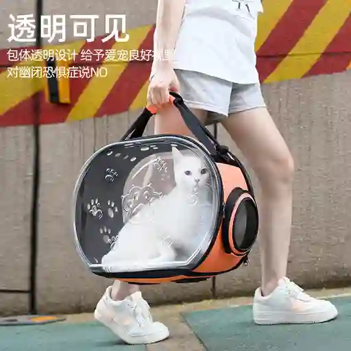 Bolso Transparente Plegable Paw