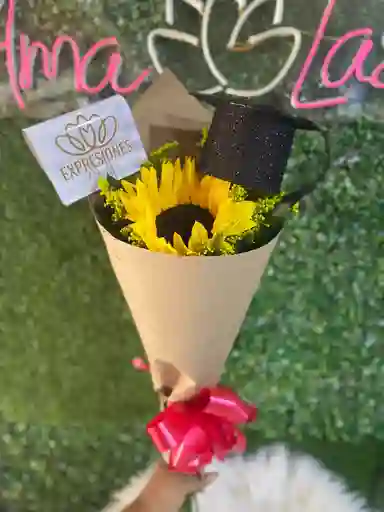 Girasol Grado