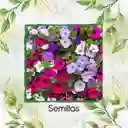 1.200 Semillas Orgánicas De Flor Petunia Péndula