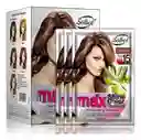 Shampoo Pinta Canas Solbol Chestnut (castaño) / Caja X10 Sobres + Guantes