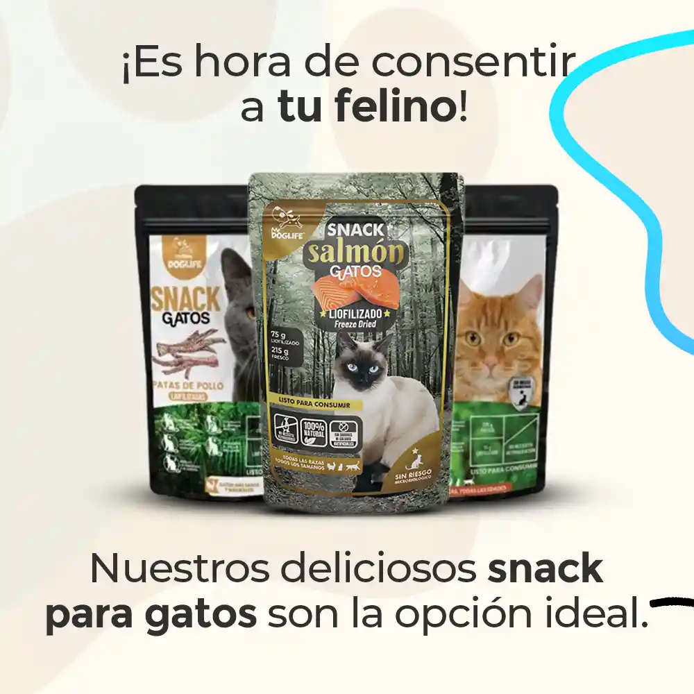 Barf Gato Snacks Liofilizado Salmon Barf Para Gato Snacks Gatos