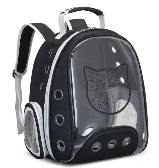 Morral Transparente Cara De Gato Negro-pb12e