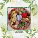 1.200 Semillas Orgánicas De Hermosa Suculenta