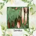 2.000 Semillas Orgánicas De Árbol Acacia Forrajera