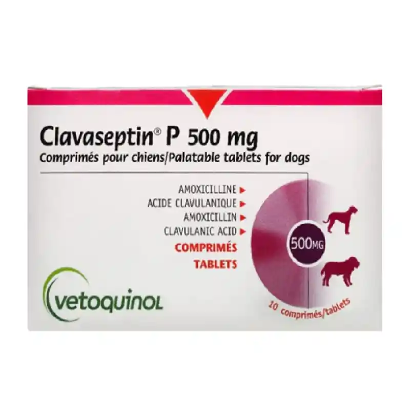 Clavaseptin 500 Mgg