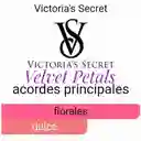 Victorias Secret Velvet Petals Set Splash Y Crema