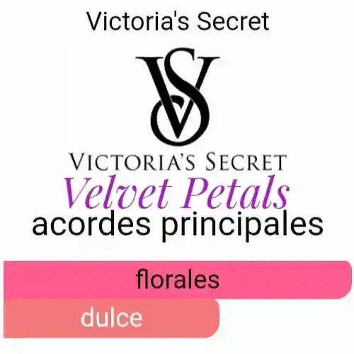 Victorias Secret Velvet Petals Set Splash Y Crema
