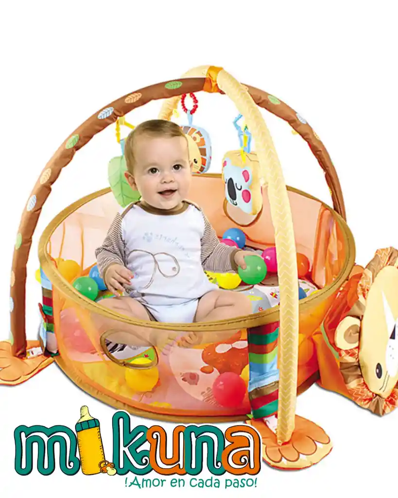 Gimnasio 3en1 De Leon