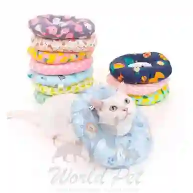 Collar Isabelino Tipo Dona Talla Xs Gato