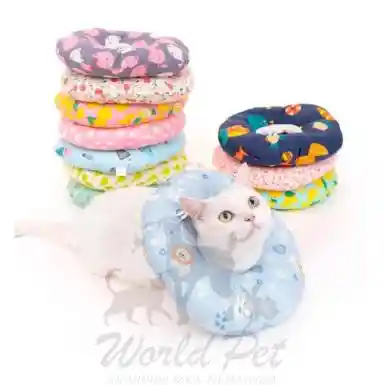 Collar Isabelino Tipo Dona Talla Xs Gato