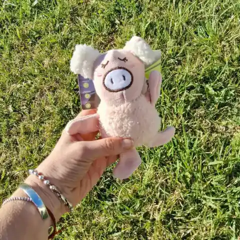 Peluche Perro Juguetes Cerdito